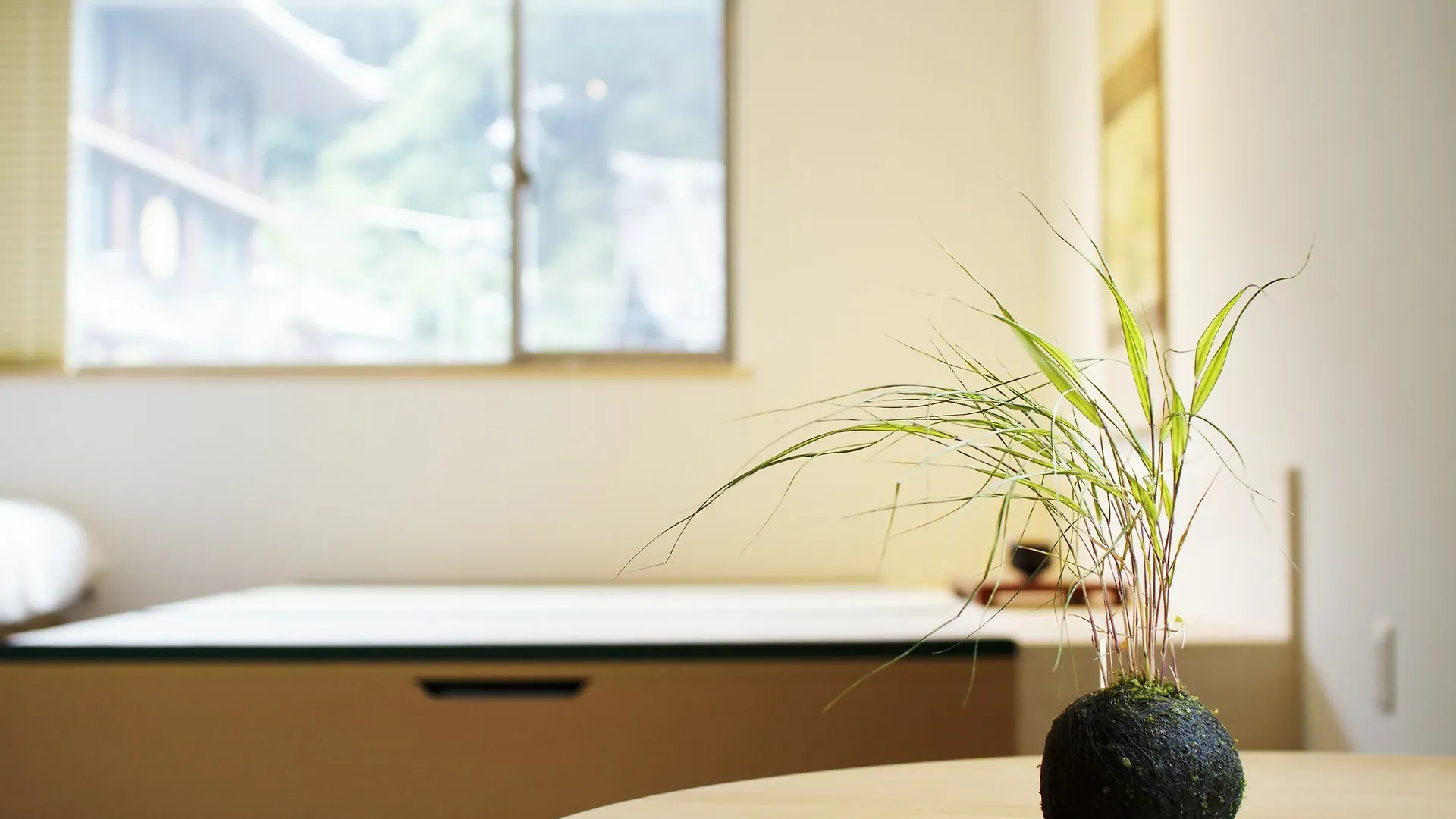 Kyoto Higashiyama With Hotel